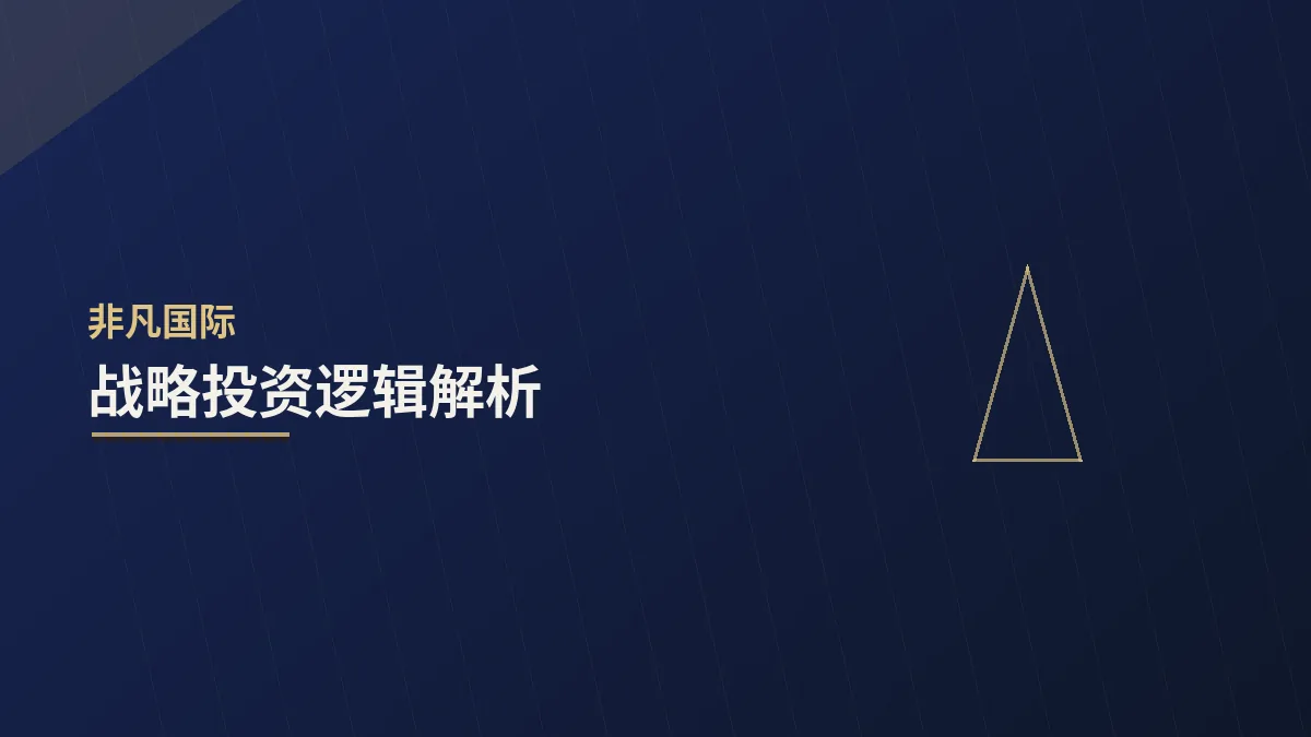 成长企业战略融资